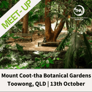 13th October - Queensland Spring Meetup | Mount Coot-tha Botanical Gardens