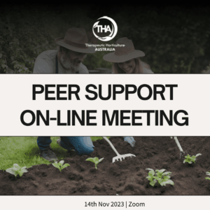 14th November - Peer Support On-Line Meeting | Information