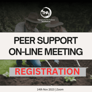 14TH November - Peer Support On-Line Meeting | Registration