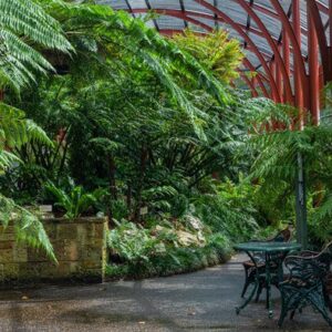 March 31st Sydney Meet up | 3pm AEST